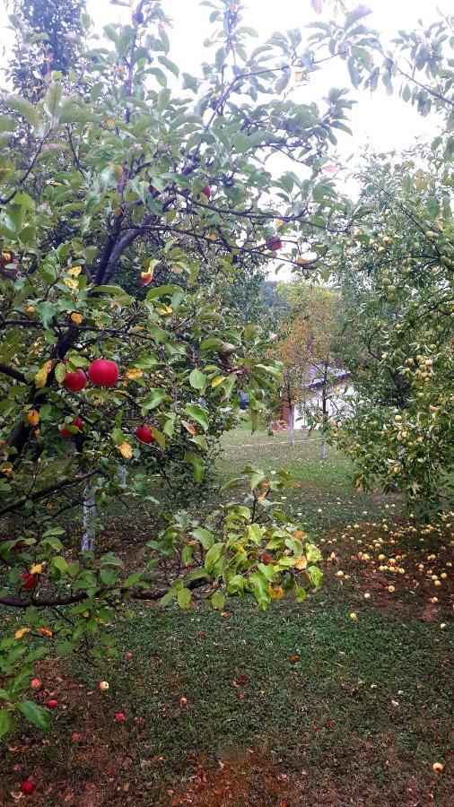 Apartman Firdaus-Bihać, Dobrenica bb Dış mekan fotoğraf